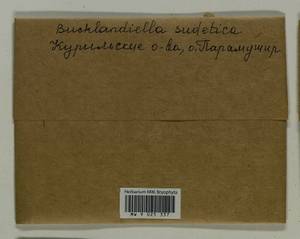 Bucklandiella sudetica (Funck) Bedn.-Ochyra & Ochyra, Bryophytes, Bryophytes - Russian Far East (excl. Chukotka & Kamchatka) (B20) (Russia)