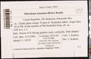 Ditrichum zonatum (Brid.) F. Lees, Bryophytes, Bryophytes - Western Europe (BEu) (Czech Republic)