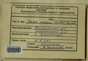 Pohlia nutans (Hedw.) Lindb., Bryophytes, Bryophytes - Central forest-and-steppe region (B10) (Russia)