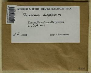 Dicranum dispersum Engelmark, Bryophytes, Bryophytes - North Caucasus & Ciscaucasia (B12) (Russia)