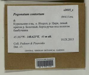 Pogonatum contortum (Menzies ex Brid.) Lesq., Bryophytes, Bryophytes - Russian Far East (excl. Chukotka & Kamchatka) (B20) (Russia)
