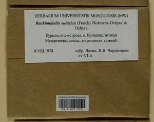 Bucklandiella sudetica (Funck) Bedn.-Ochyra & Ochyra, Bryophytes, Bryophytes - Russian Far East (excl. Chukotka & Kamchatka) (B20) (Russia)
