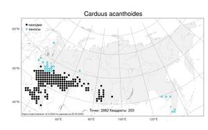 Carduus acanthoides L., Atlas of the Russian Flora (FLORUS) (Russia)