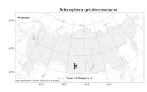 Adenophora golubinzevaeana Reverd., Atlas of the Russian Flora (FLORUS) (Russia)