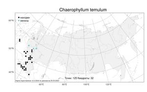 Chaerophyllum temulum L., Atlas of the Russian Flora (FLORUS) (Russia)