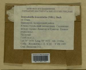 Iwatsukiella leucotricha (Mitt.) W.R. Buck & H.A. Crum, Bryophytes, Bryophytes - South Urals (B14) (Russia)