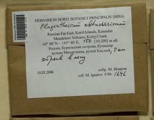 Plagiothecium obtusissimum Broth., Bryophytes, Bryophytes - Russian Far East (excl. Chukotka & Kamchatka) (B20) (Russia)