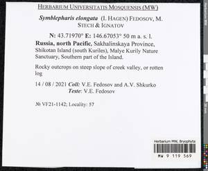 Symblepharis elongata (I. Hagen) Fedosov, M. Stech & Ignatov, Bryophytes, Bryophytes - Russian Far East (excl. Chukotka & Kamchatka) (B20) (Russia)