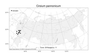 Cirsium pannonicum (L. fil.) Link, Atlas of the Russian Flora (FLORUS) (Russia)