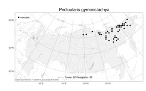 Pedicularis gymnostachya (Trautv.) Khokhr., Atlas of the Russian Flora (FLORUS) (Russia)