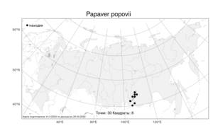 Oreomecon popovii (Sipliv.) Galasso, Banfi & Bartolucci, Atlas of the Russian Flora (FLORUS) (Russia)