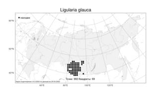 Ligularia glauca (L.) O. Hoffm., Atlas of the Russian Flora (FLORUS) (Russia)