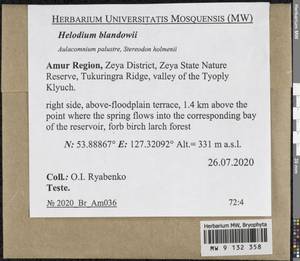 Helodium blandowii (F. Weber & D. Mohr) Warnst., Bryophytes, Bryophytes - Russian Far East (excl. Chukotka & Kamchatka) (B20) (Russia)