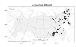 Helictochloa dahurica (Kom.) Romero Zarco, Atlas of the Russian Flora (FLORUS) (Russia)