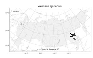 Valeriana ajanensis (Regel & Tiling) Kom., Atlas of the Russian Flora (FLORUS) (Russia)