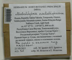 Mielichhoferia mielichhoferiana (Funck) Loeske, Bryophytes, Bryophytes - Yakutia (B19) (Russia)
