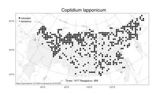 Coptidium lapponicum (L.) Á. Löve & D. Löve, Atlas of the Russian Flora (FLORUS) (Russia)