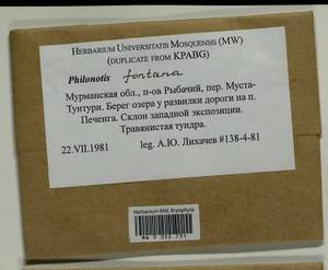 Philonotis fontana (Hedw.) Brid., Bryophytes, Bryophytes - Karelia, Leningrad & Murmansk Oblasts (B4) (Russia)