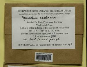 Pogonatum contortum (Menzies ex Brid.) Lesq., Bryophytes, Bryophytes - Russian Far East (excl. Chukotka & Kamchatka) (B20) (Russia)