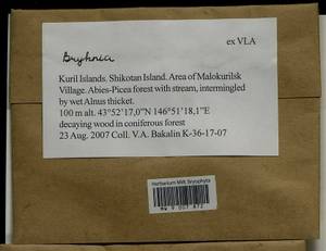 Bryhnia, Bryophytes, Bryophytes - Russian Far East (excl. Chukotka & Kamchatka) (B20) (Russia)