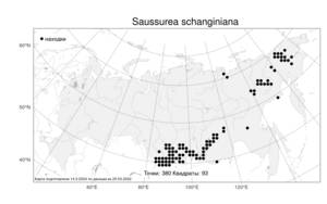 Saussurea schanginiana (Wydler) Fisch. ex Herder, Atlas of the Russian Flora (FLORUS) (Russia)