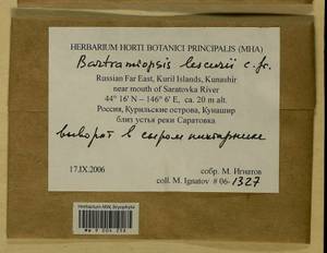 Bartramiopsis lescurii (James) Kindb., Bryophytes, Bryophytes - Russian Far East (excl. Chukotka & Kamchatka) (B20) (Russia)