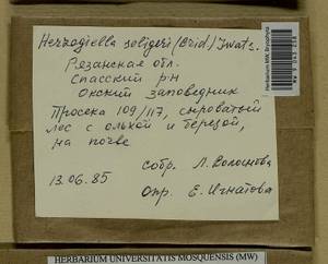 Herzogiella seligeri (Brid.) Z. Iwats., Bryophytes, Bryophytes - Middle Russia (B6) (Russia)