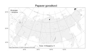 Papaver gorodkovii Tolm. & Petrovsky, Atlas of the Russian Flora (FLORUS) (Russia)