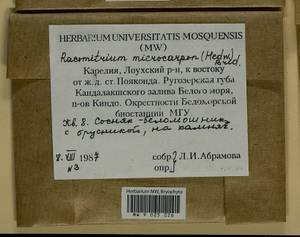 Bucklandiella microcarpos (Hedw.) Bedn.-Ochyra & Ochyra, Bryophytes, Bryophytes - Karelia, Leningrad & Murmansk Oblasts (B4) (Russia)