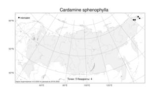 Cardamine digitata Richardson, Atlas of the Russian Flora (FLORUS) (Russia)