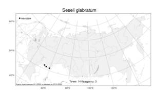 Seseli glabratum Willd. ex Schult., Atlas of the Russian Flora (FLORUS) (Russia)