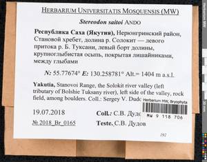 Hypnum saitoi Ando, Bryophytes, Bryophytes - Yakutia (B19) (Russia)