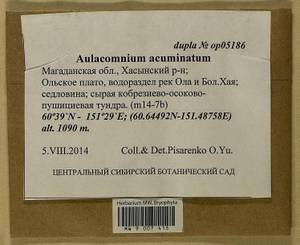 Aulacomnium acuminatum (Lindb. & Arnell) Kindb., Bryophytes, Bryophytes - Chukotka & Kamchatka (B21) (Russia)