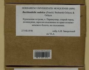 Bucklandiella sudetica (Funck) Bedn.-Ochyra & Ochyra, Bryophytes, Bryophytes - Russian Far East (excl. Chukotka & Kamchatka) (B20) (Russia)