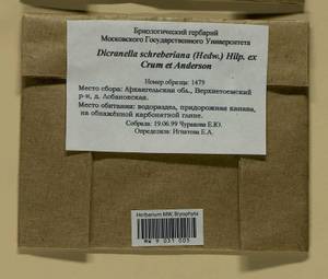 Aongstroemia schreberiana (Hedw.) Bonfim Santos & Fedosov, Bryophytes, Bryophytes - European North East (B7) (Russia)