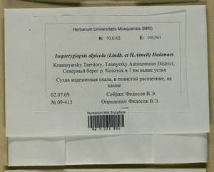 Isopterygiella alpicola (Lindb.) Ignatov & Ignatova, Bryophytes, Bryophytes - Krasnoyarsk Krai, Tyva & Khakassia (B17) (Russia)