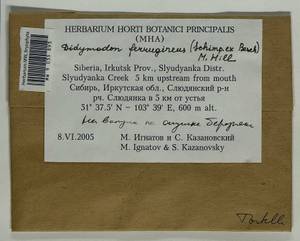 Geheebia ferruginea (Schimp. ex Besch.) R.H. Zander, Bryophytes, Bryophytes - Baikal & Transbaikal regions (B18) (Russia)