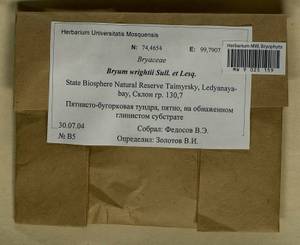 Ptychostomum wrightii (Sull. & Lesq.) J.R. Spence, Bryophytes, Bryophytes - Krasnoyarsk Krai, Tyva & Khakassia (B17) (Russia)