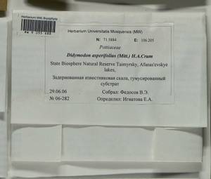 Husnotiella asperifolia (Mitt.) J.A. Jiménez & M.J. Cano, Bryophytes, Bryophytes - Krasnoyarsk Krai, Tyva & Khakassia (B17) (Russia)