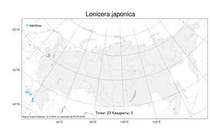 Lonicera japonica Thunb., Atlas of the Russian Flora (FLORUS) (Russia)