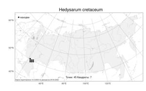 Hedysarum cretaceum Fisch. ex DC., Atlas of the Russian Flora (FLORUS) (Russia)