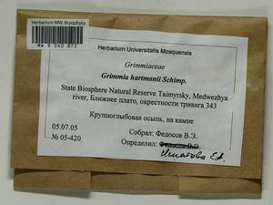Grimmia hartmanii Schimp., Bryophytes, Bryophytes - Krasnoyarsk Krai, Tyva & Khakassia (B17) (Russia)
