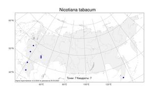 Nicotiana tabacum L., Atlas of the Russian Flora (FLORUS) (Russia)