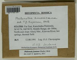 Philonotis americana Dism., Bryophytes, Bryophytes - Chukotka & Kamchatka (B21) (Russia)