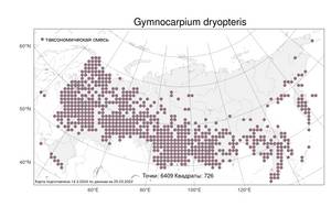 Gymnocarpium dryopteris (L.) Newman, Atlas of the Russian Flora (FLORUS) (Russia)