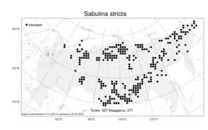 Sabulina stricta (Sw.) Rchb., Atlas of the Russian Flora (FLORUS) (Russia)