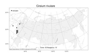 Cirsium rivulare (Jacq.) All., Atlas of the Russian Flora (FLORUS) (Russia)