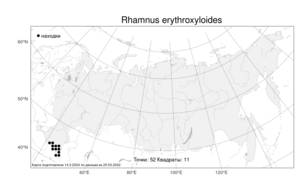 Rhamnus erythroxyloides Hoffmanns., Atlas of the Russian Flora (FLORUS) (Russia)