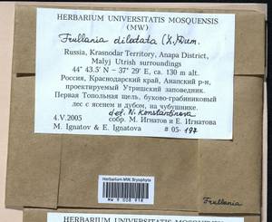 Frullania dilatata (L.) Dumort., Bryophytes, Bryophytes - North Caucasus & Ciscaucasia (B12) (Russia)