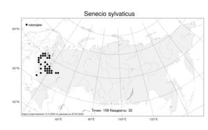 Senecio sylvaticus L., Atlas of the Russian Flora (FLORUS) (Russia)